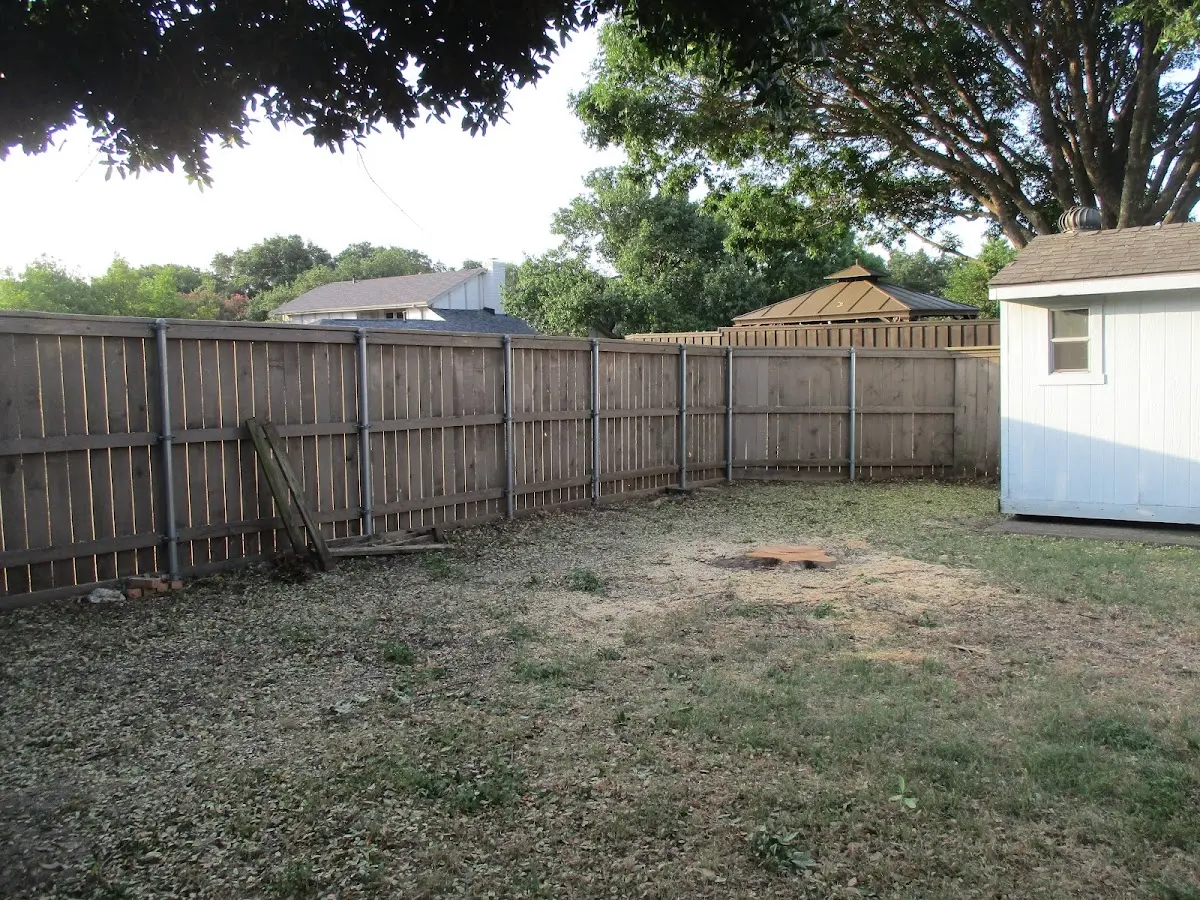 Cleared yard after professional tree removal in Allentown